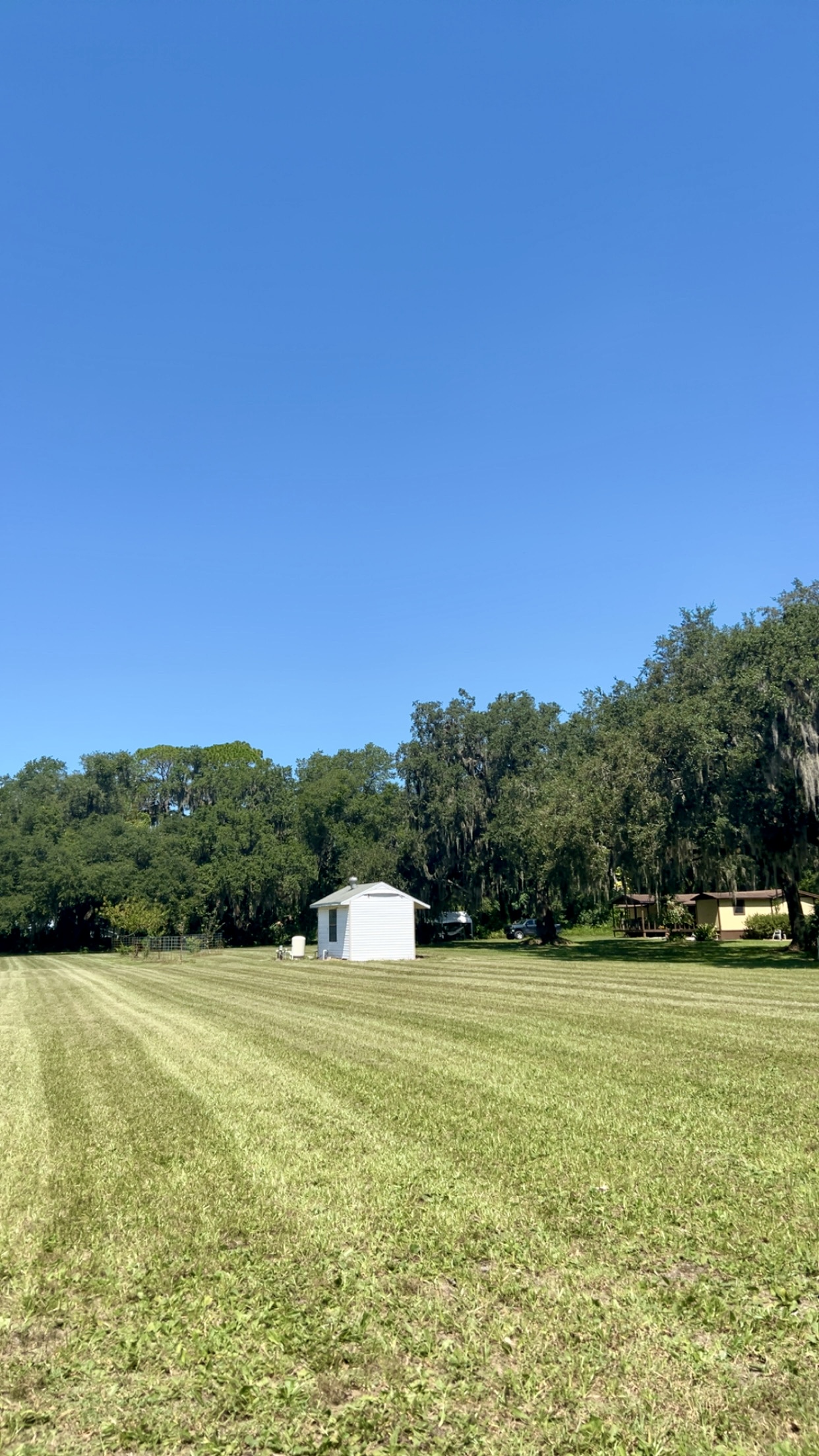 Lawn mowing service Lake Mary FL